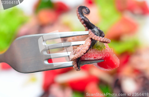 Image of octopus salad