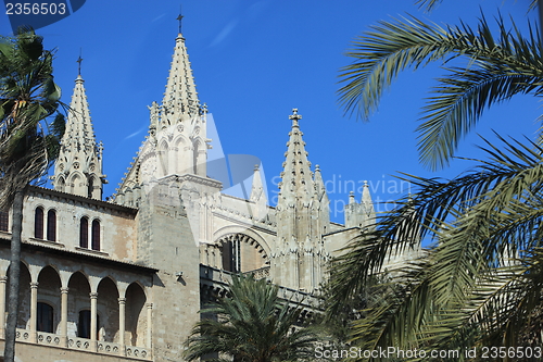 Image of La Seu Cathedral, Mallorca