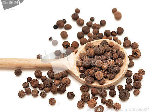 Image of pepper