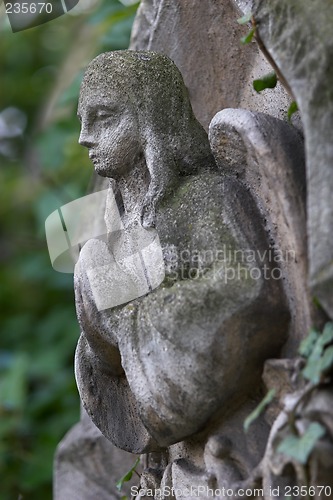 Image of Stone angel