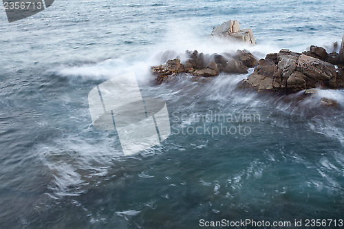 Image of rocky and the waves