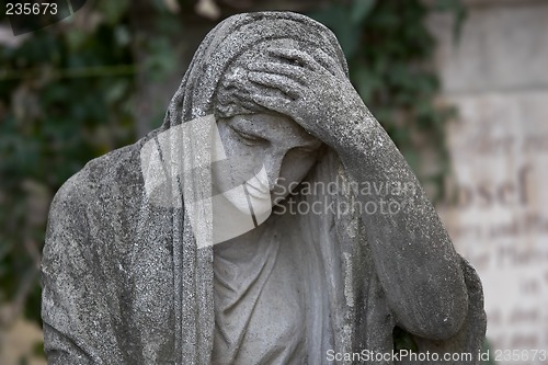 Image of Stone angel