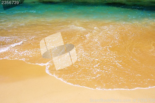 Image of Green water in sand