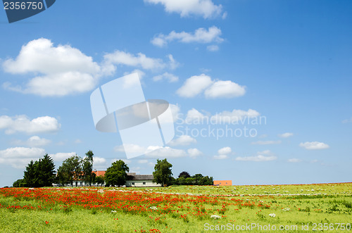 Image of Danish countryside view