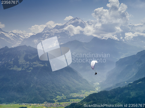 Image of paraglider