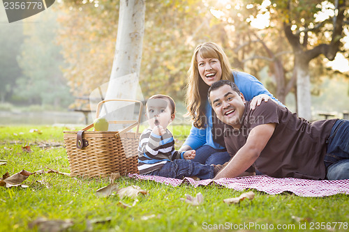 Image of Happy Mixed Race Ethnic Family Having a Picnic In Park