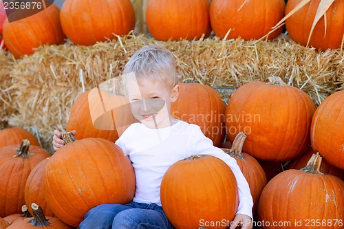 Image of boy at pumpkin patch