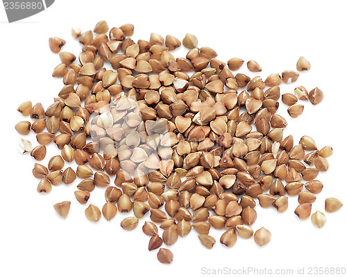 Image of buckwheat