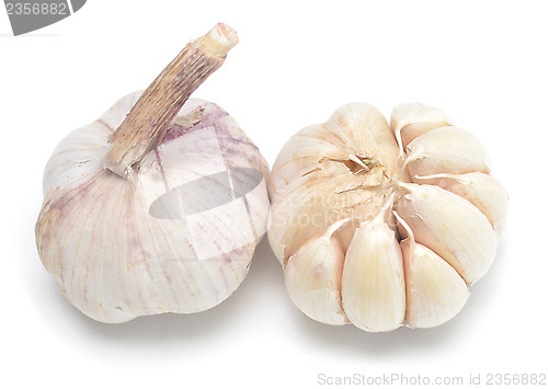 Image of garlic