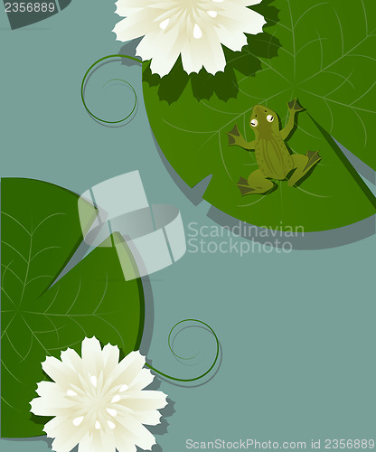 Image of Frog and lotus