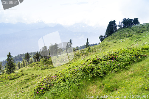 Image of Beatenberg Swiss