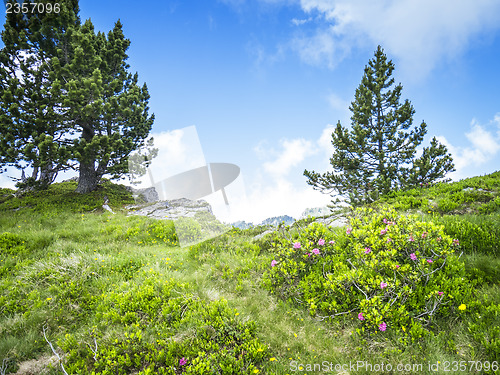Image of Beatenberg Swiss