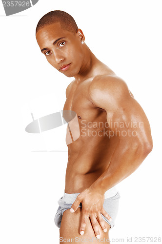 Image of Bodybuilder in profile.