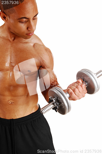 Image of Closeup of dumbbell lifting.