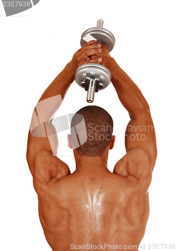 Image of Guy with silver dumbbells.