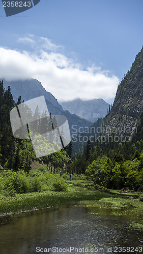 Image of Nature Landscape