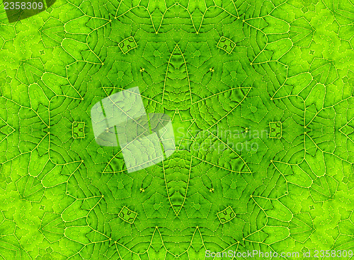 Image of Green leaf abstract pattern