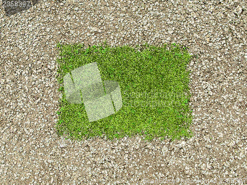 Image of Environment: gravel frame and green grass patch