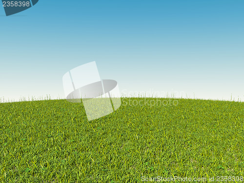Image of Green grass on hill and blue sky