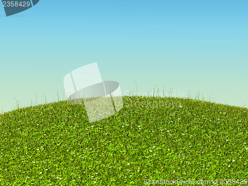 Image of Green grass landscape with clover and camomile flowers