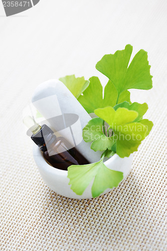 Image of Ginkgo biloba essential oil