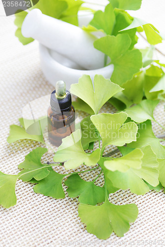 Image of Ginkgo biloba essential oil