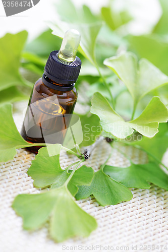 Image of Ginkgo biloba essential oil