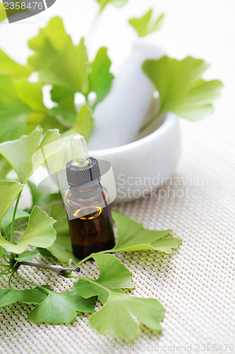 Image of Ginkgo biloba essential oil
