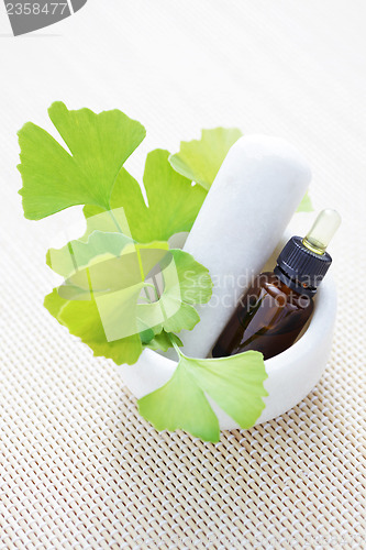 Image of Ginkgo biloba essential oil