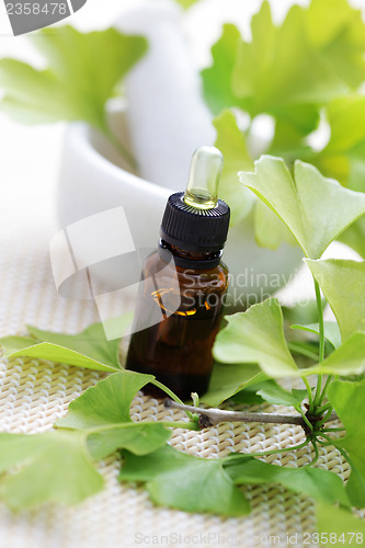 Image of Ginkgo biloba essential oil