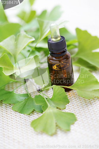 Image of Ginkgo biloba essential oil