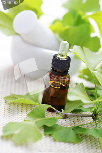 Image of Ginkgo biloba essential oil