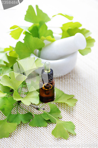 Image of Ginkgo biloba essential oil