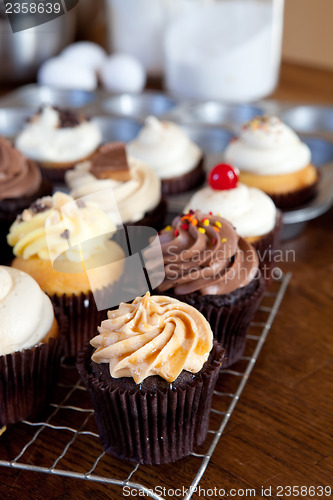 Image of Delicious Gourmet Cupcakes
