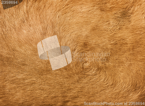 Image of Brown camel hair background 