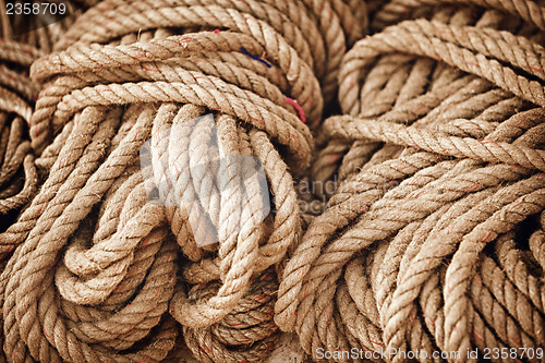 Image of Thick strong rope on the open market