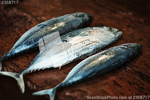 Image of Raw fish on a wooden counter of the open market - mackerel