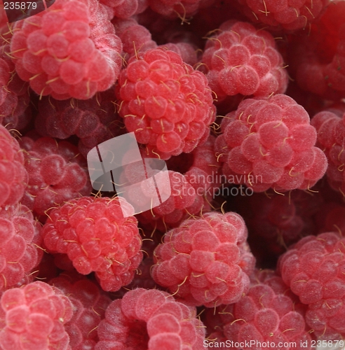 Image of Raspberries