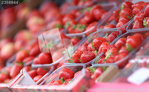 Image of Strawberries