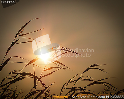 Image of Summer evening in Finland