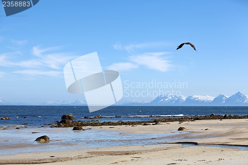 Image of Norwegian fjord