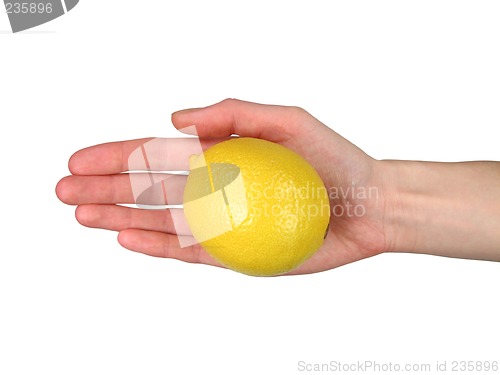 Image of Woman’s hand offering a lemon (+ clipping path)