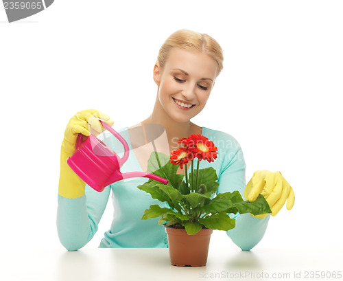 Image of housewife with flower in pot and watering can