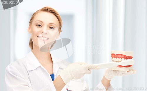 Image of doctor with toothbrush and jaws