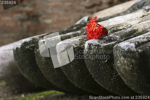 Image of Flowers on Buddha Toes