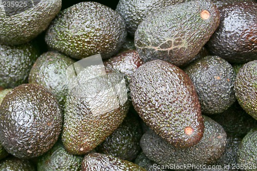 Image of Avocado