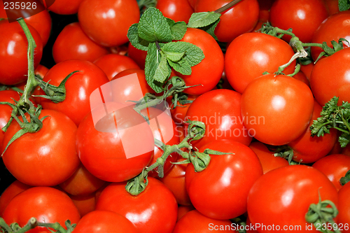 Image of Baby tomato
