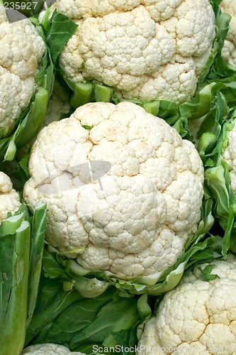 Image of Cauliflowers