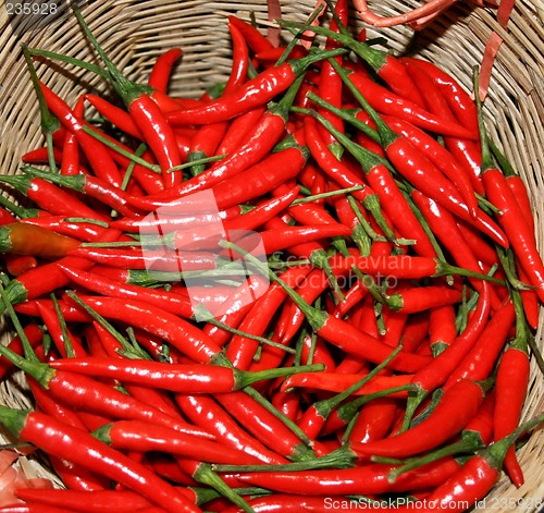 Image of Chilli peppers