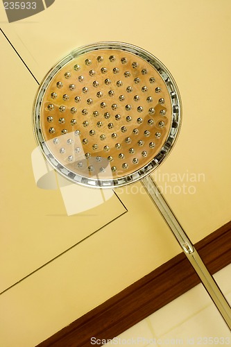 Image of Shower head

